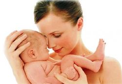 закон об охране материнства